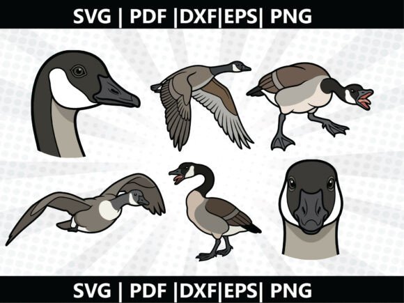 Canada Geese SVG Cricut Cut File for Graphics and Freebies